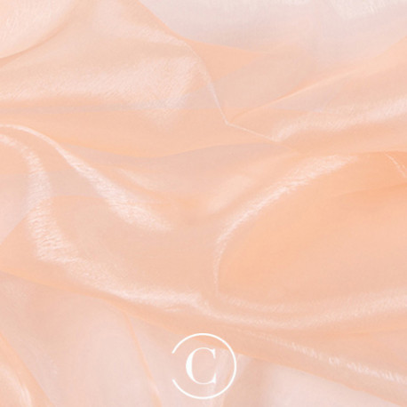 ORGANZA CC CHAMPAGNE