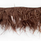 OSTRICH FEATHERS FRINGES 3PLY CC ESPRESSO